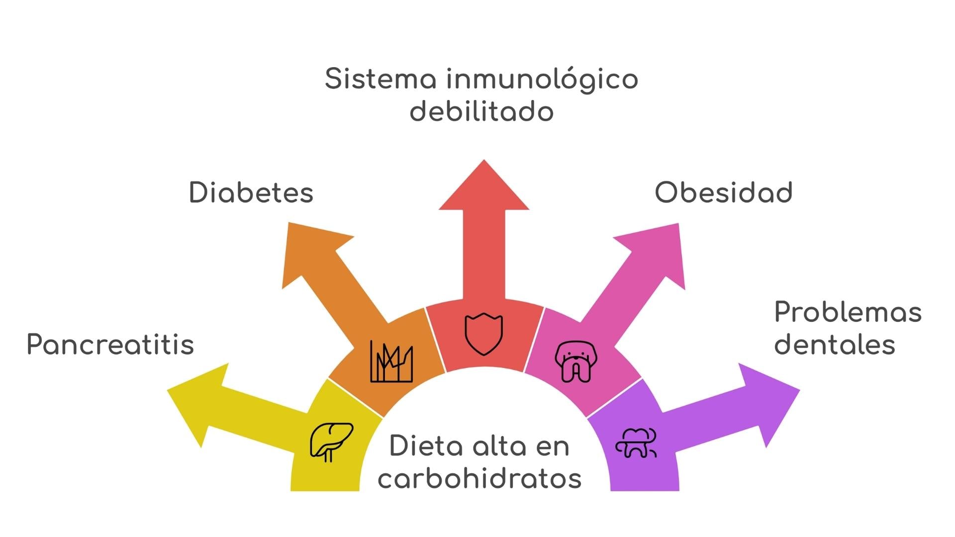 exceso de azúcar en la dieta gatos consecuencias